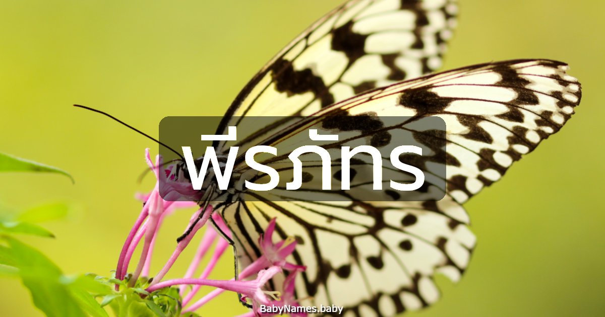 พีรภัทร