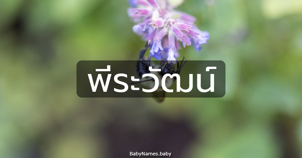 พีระวัฒน์