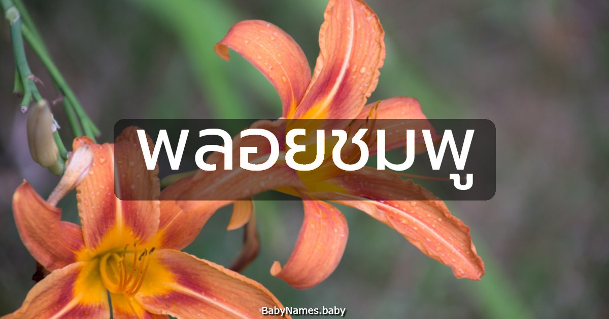 พลอยชมพู