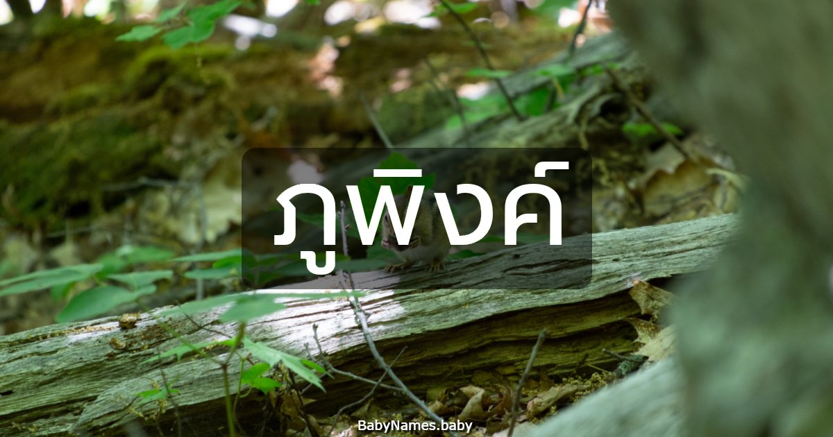 ภูพิงค์