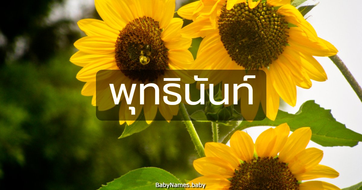 พุทธินันท์