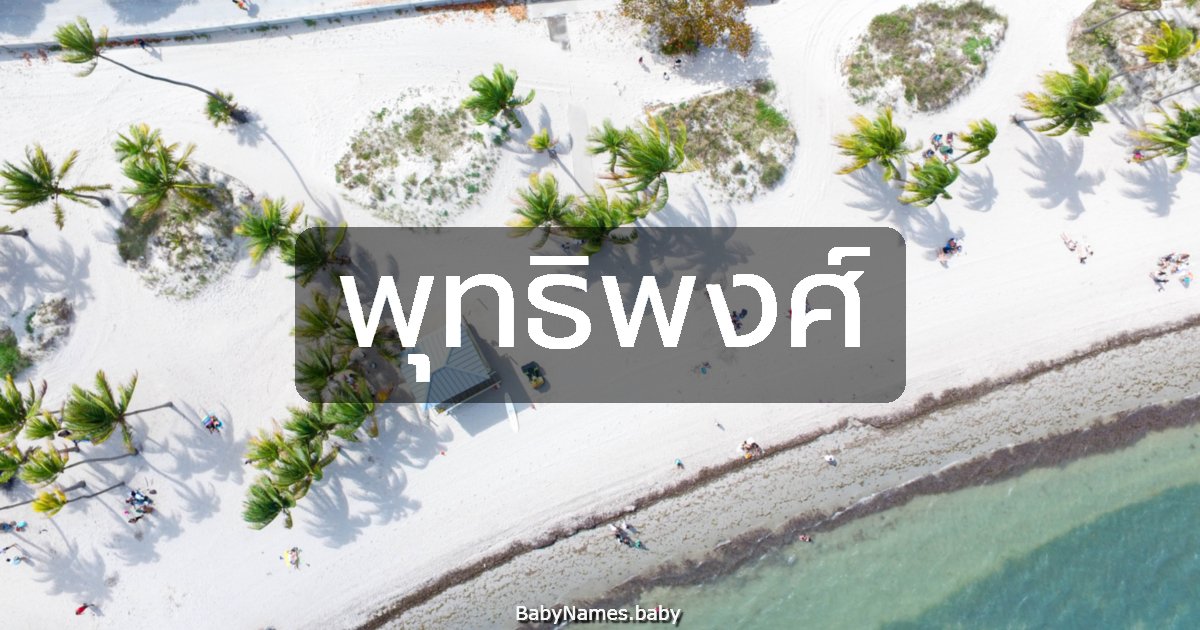 พุทธิพงศ์