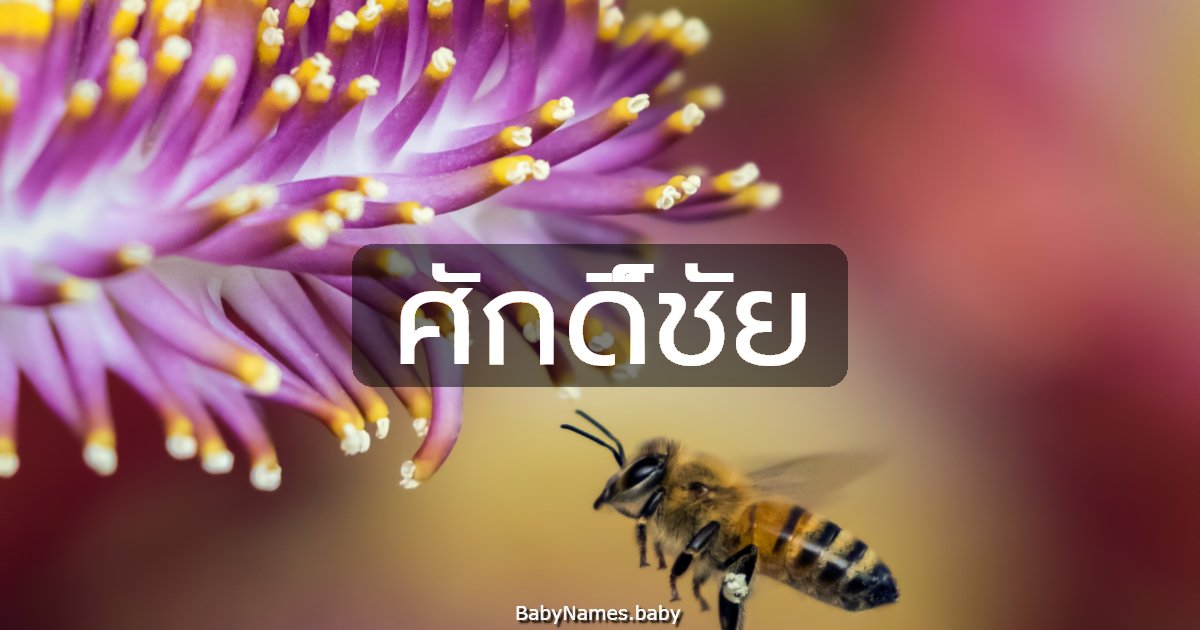 ศักดิ์ชัย