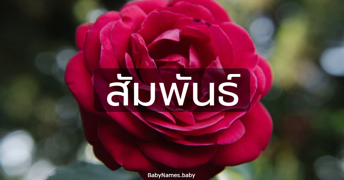 สัมพันธ์