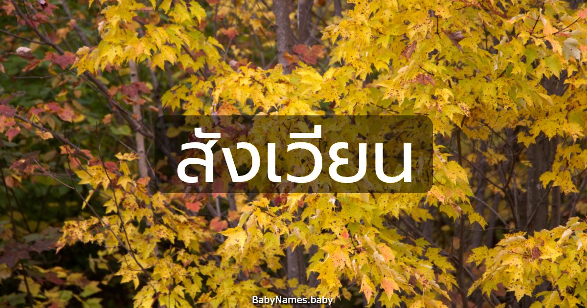 สังเวียน