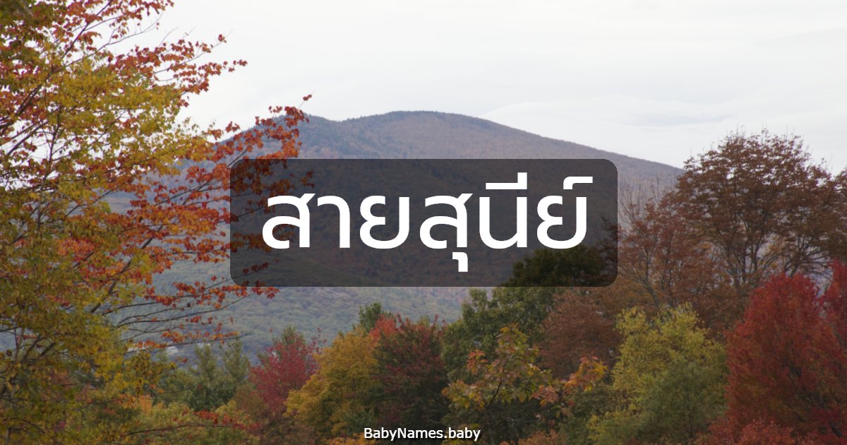 สายสุนีย์