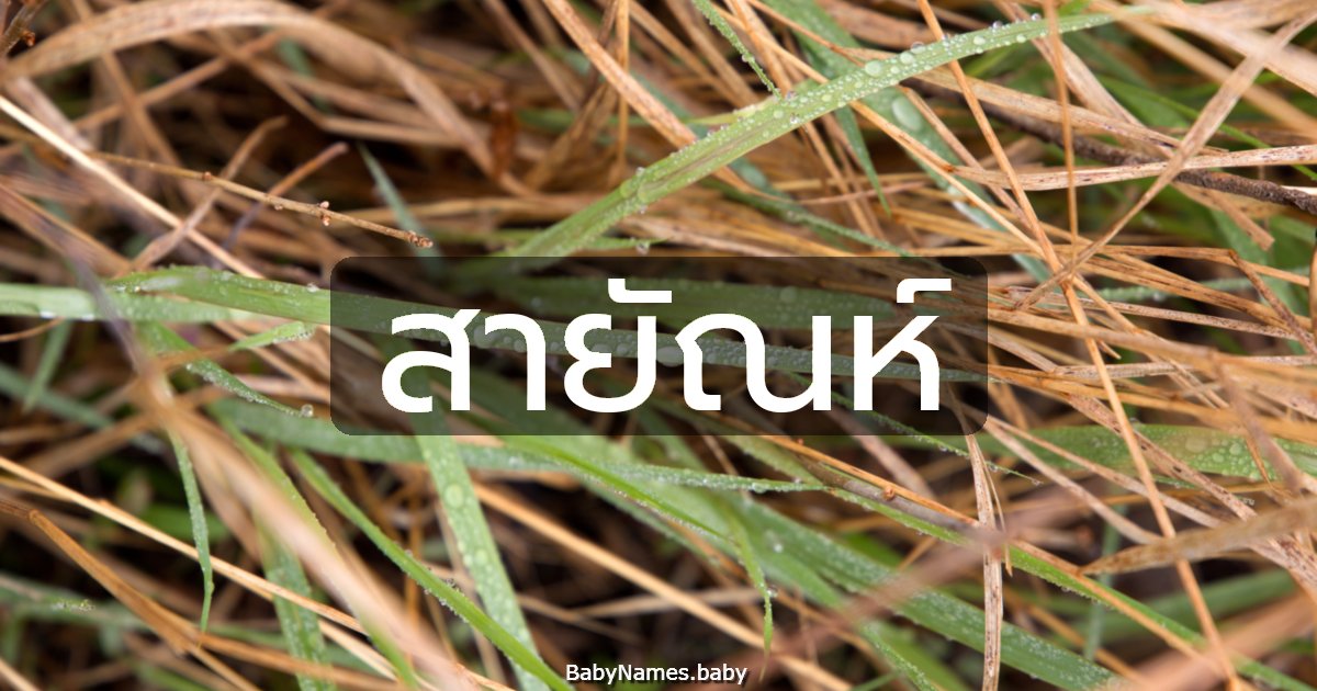 สายัณห์