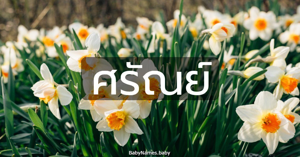 ศรัณย์