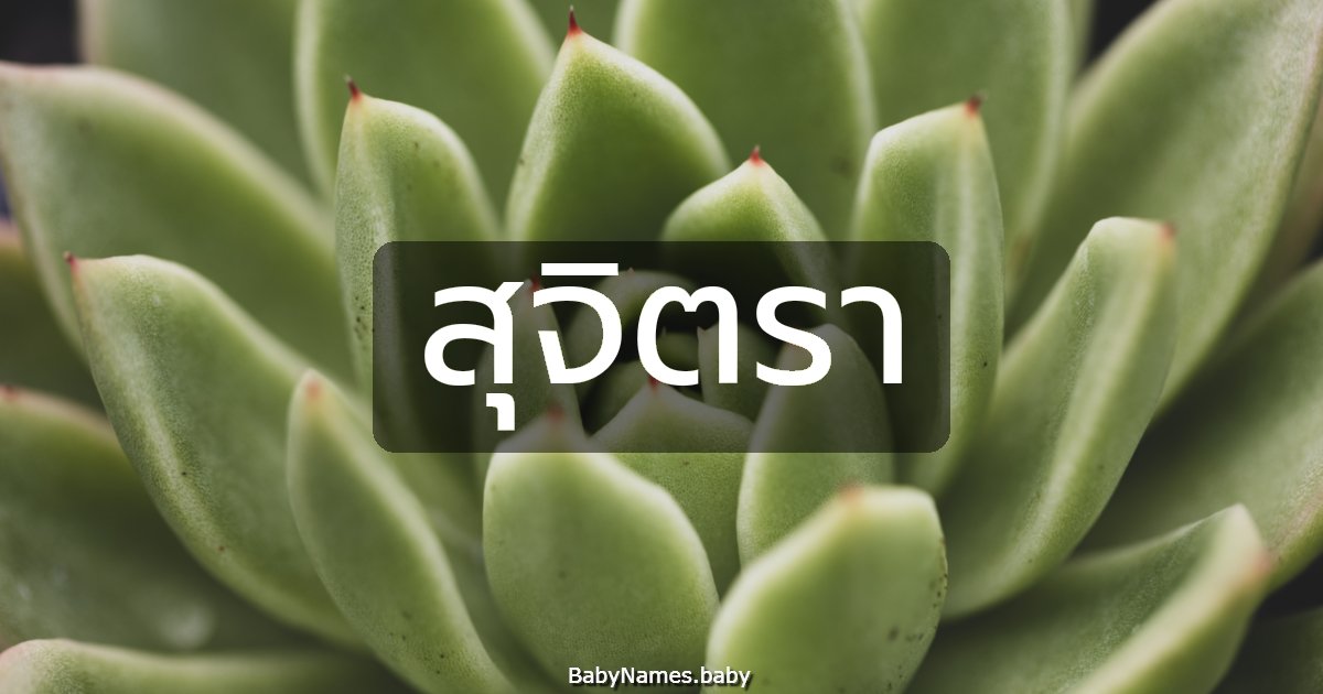 สุจิตรา