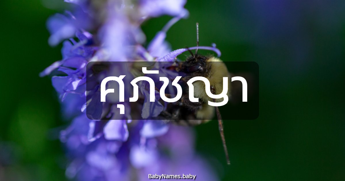 ศุภัชญา