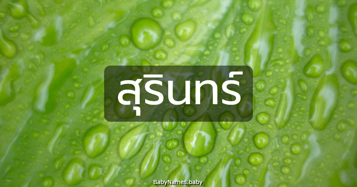 สุรินทร์