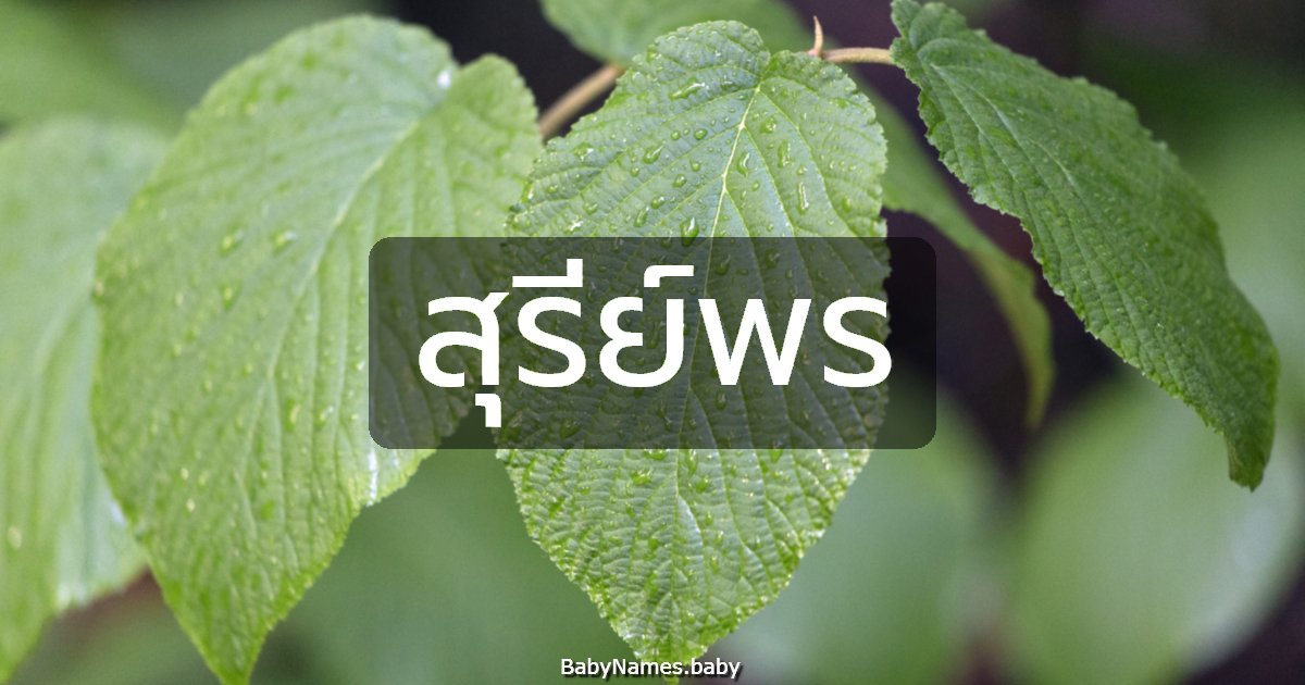 สุรีย์พร