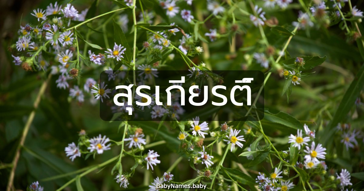 สุรเกียรติ์