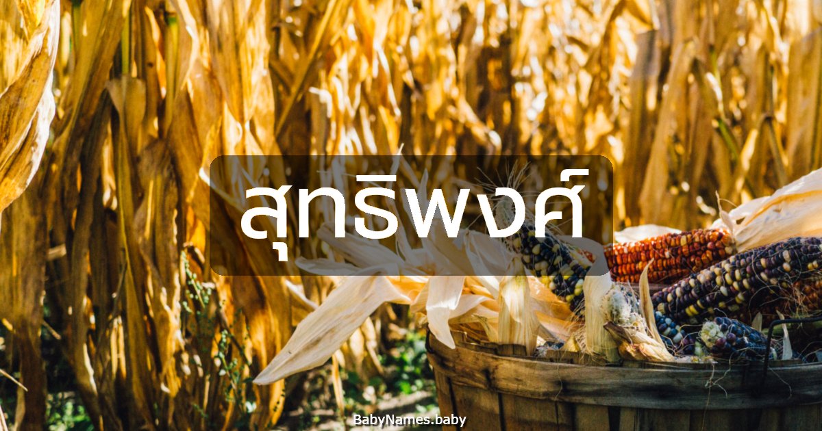 สุทธิพงศ์