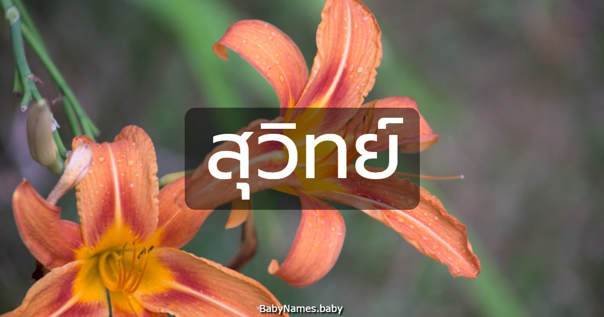 สุวิทย์