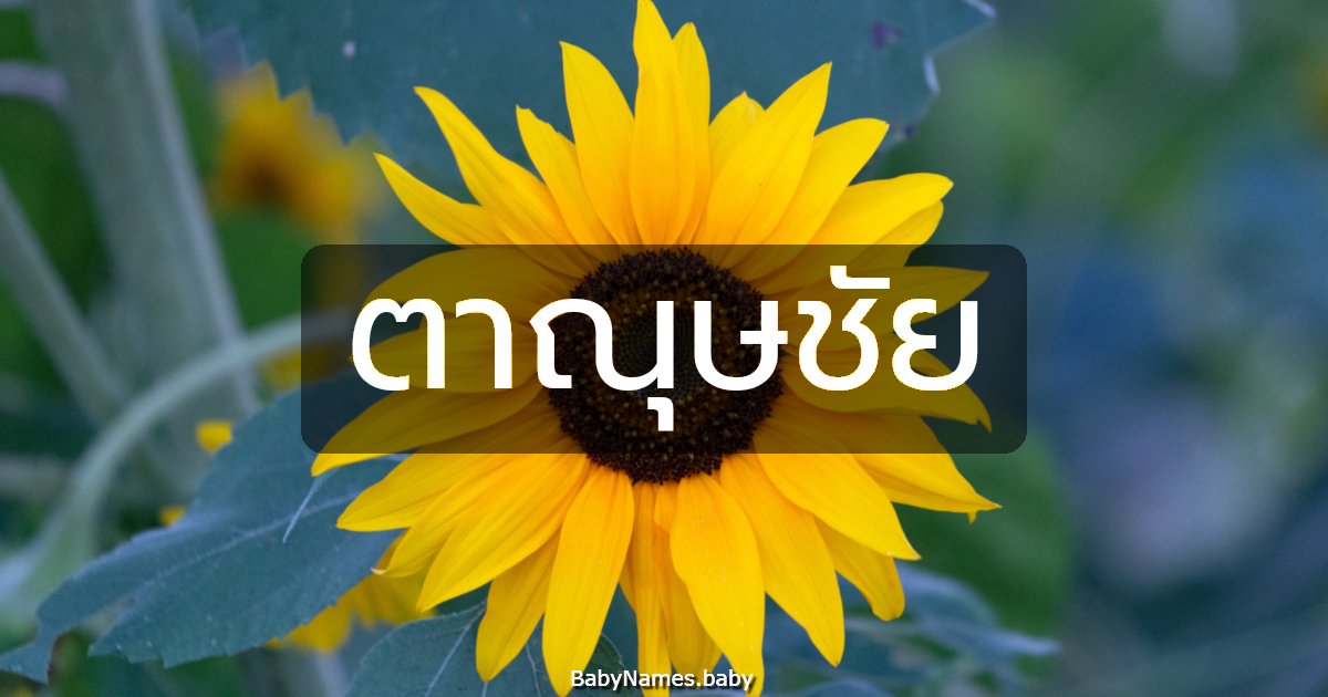 ตาณุษชัย