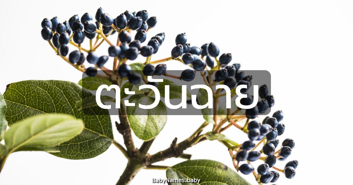 ตะวันฉาย