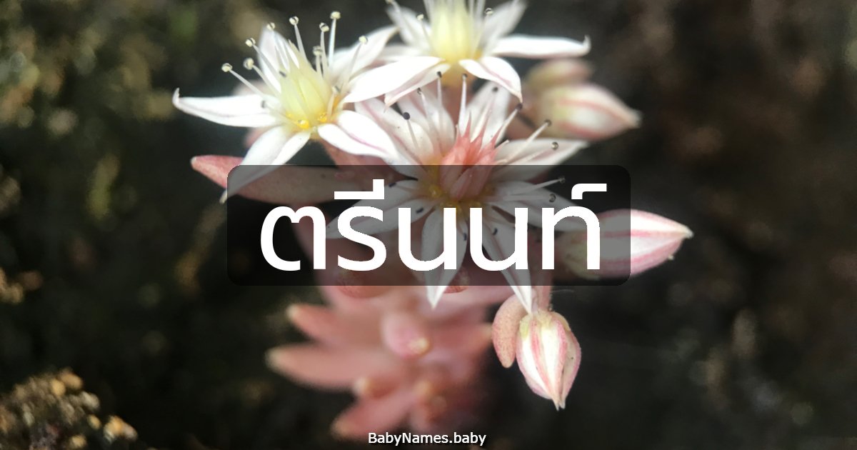 ตรีนนท์