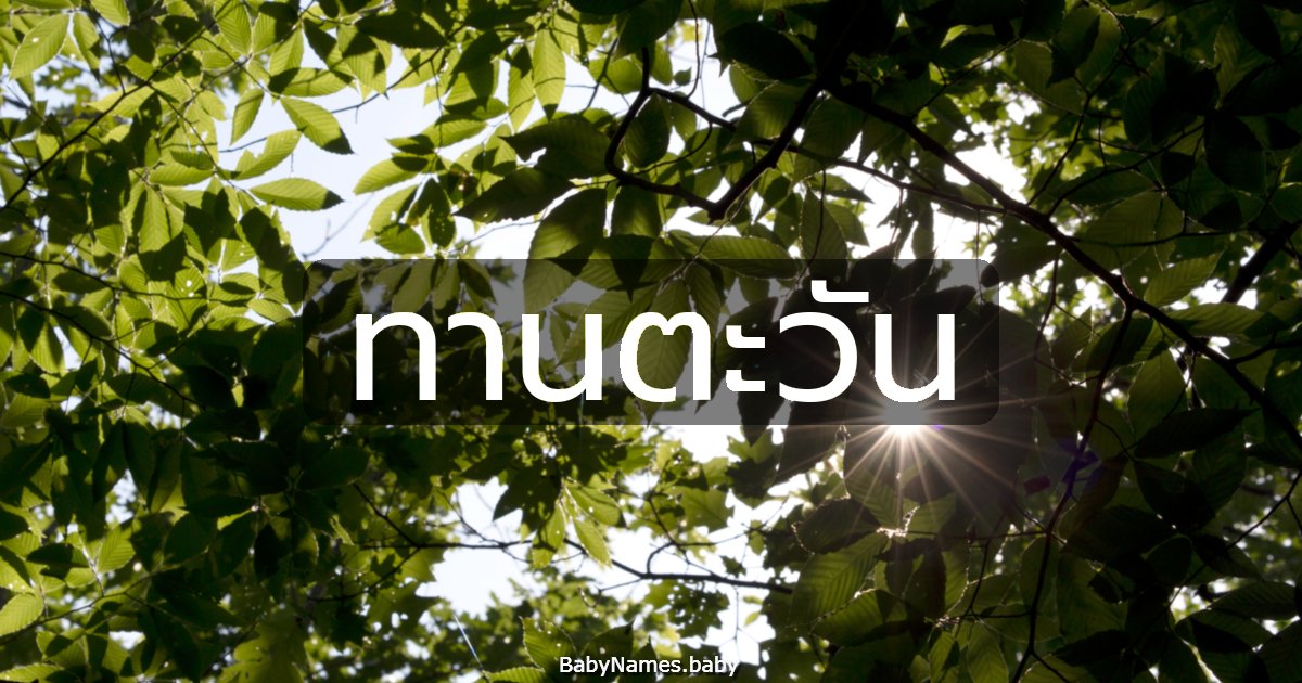 ทานตะวัน