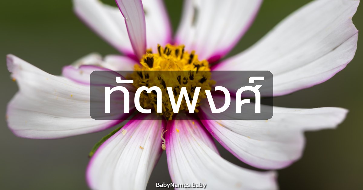 ทัตพงศ์