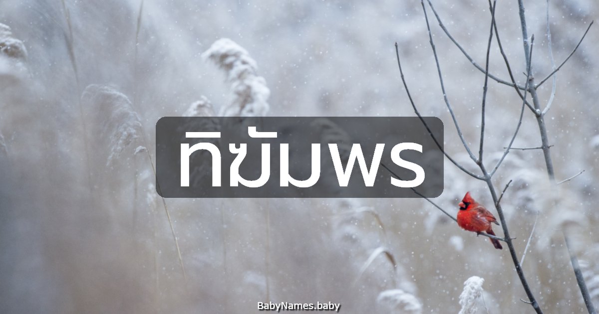 ทิฆัมพร