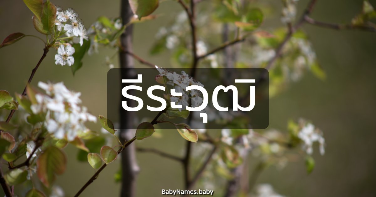 ธีระวุฒิ