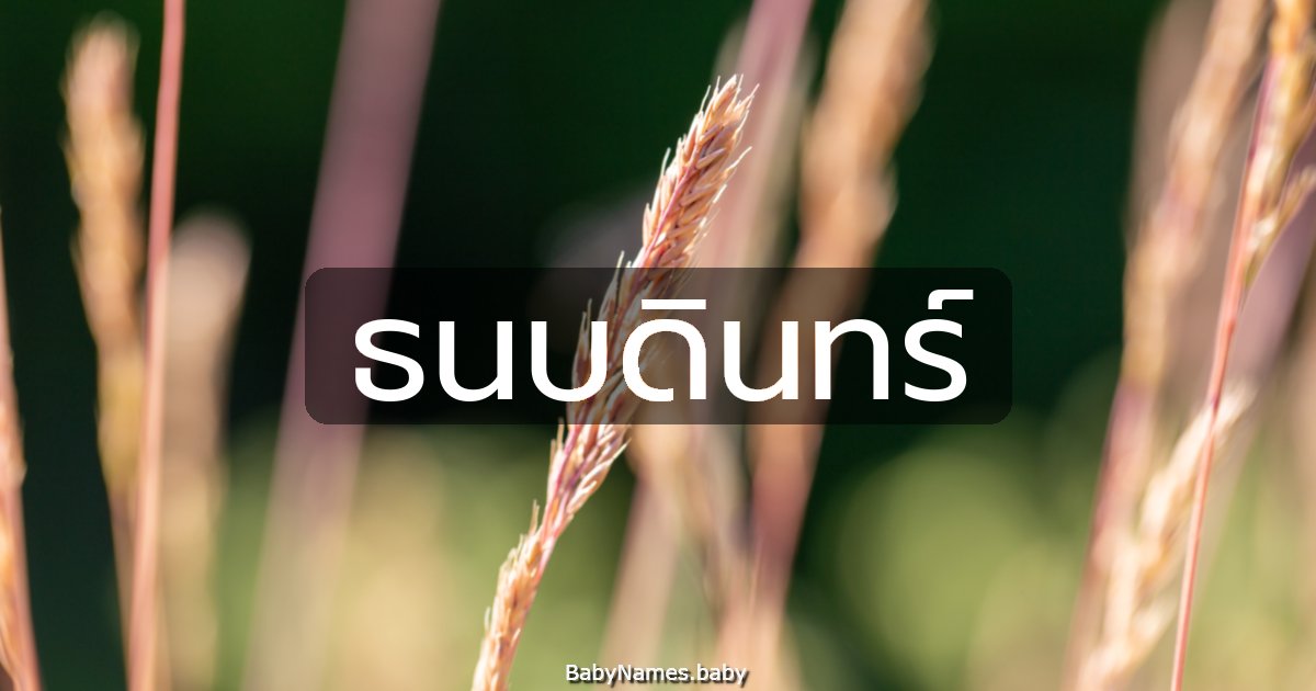 ธนบดินทร์