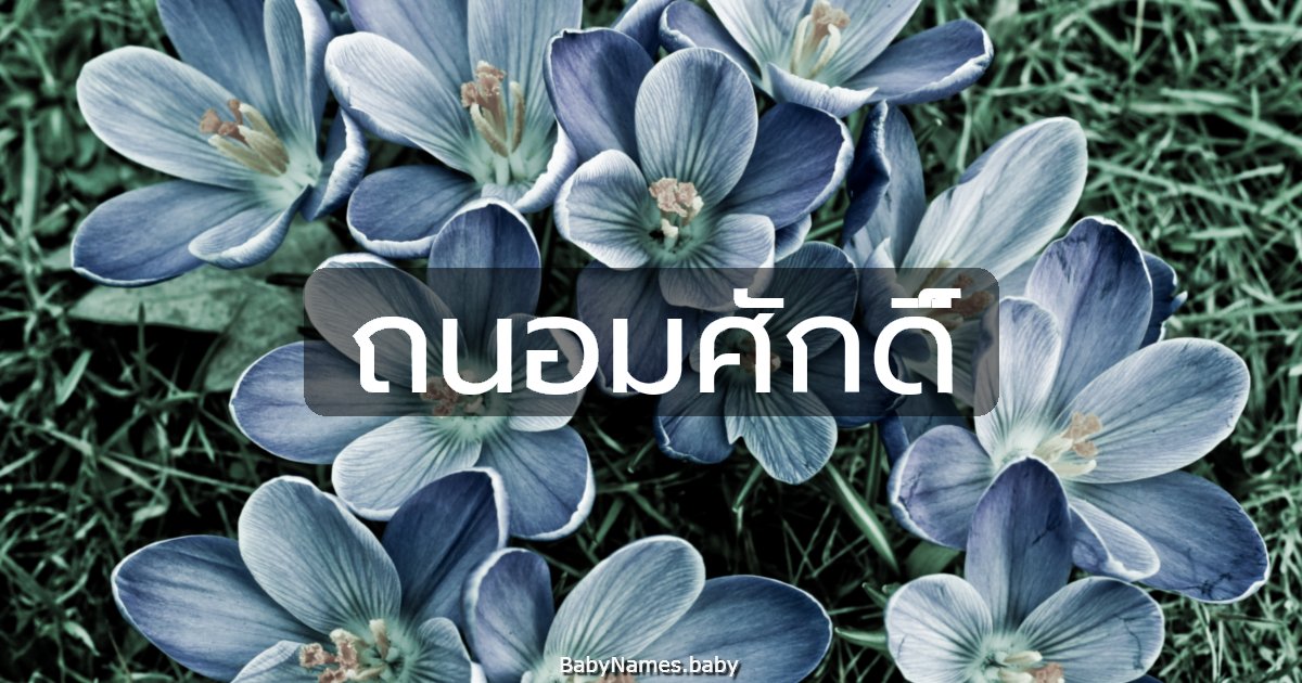 ถนอมศักดิ์