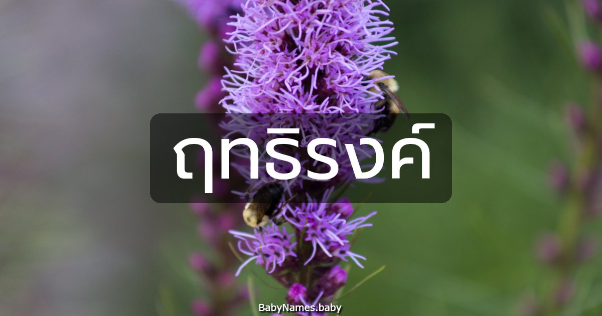 ฤทธิรงค์