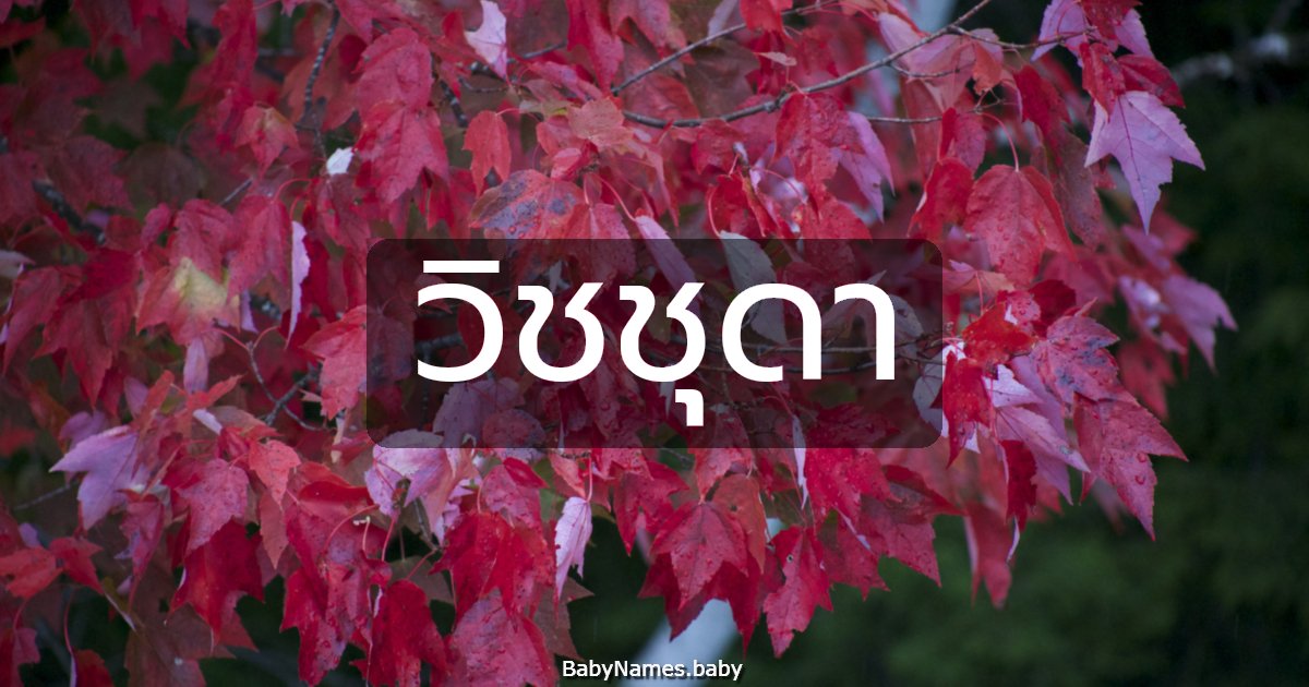 วิชชุดา