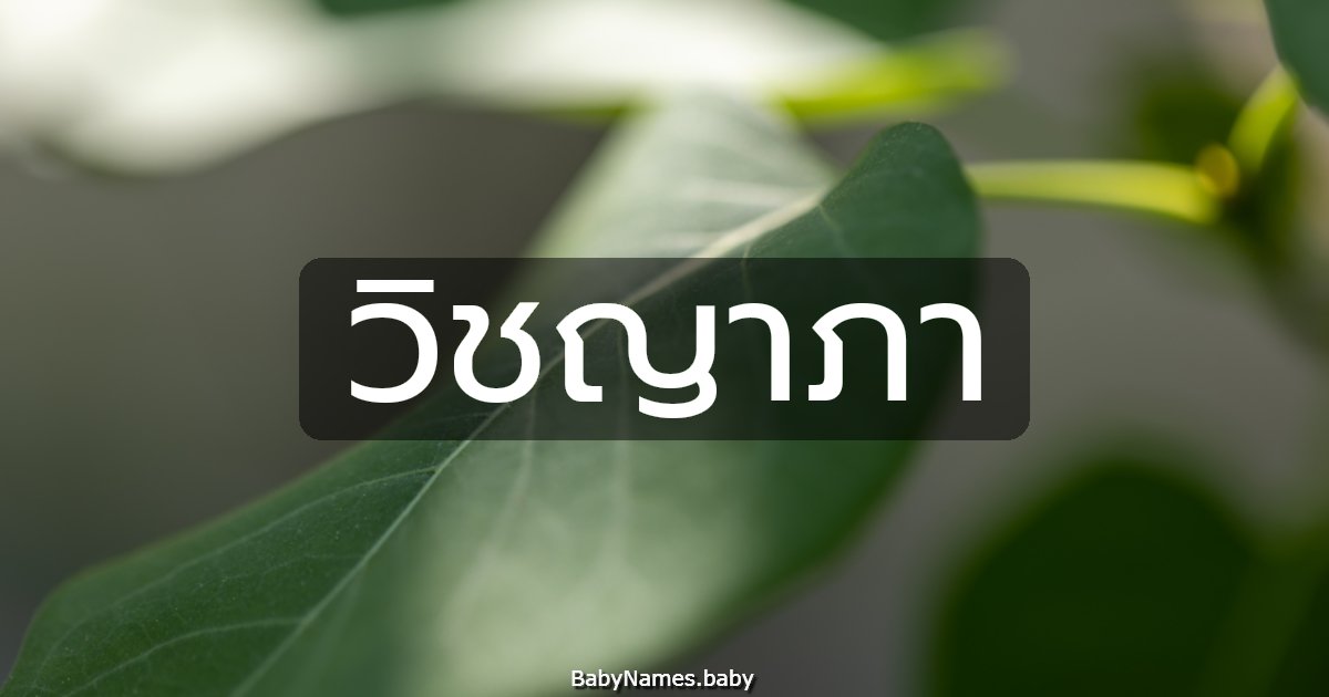 วิชญาภา