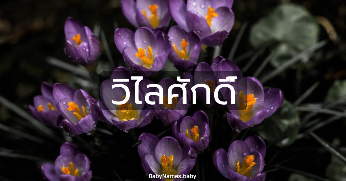 วิไลศักดิ์