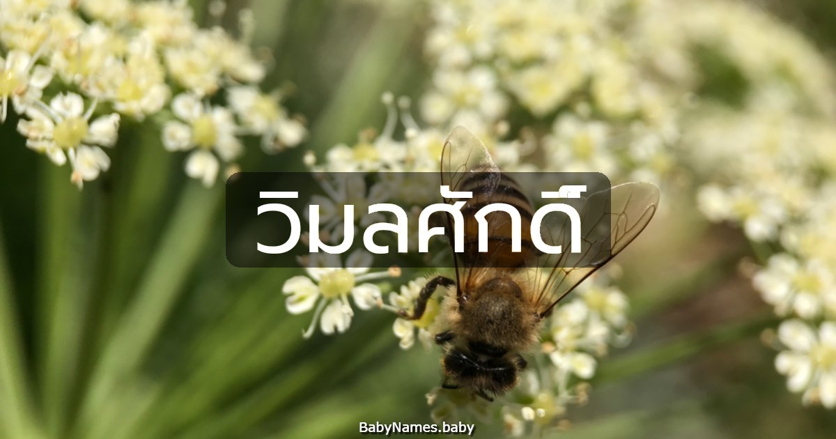 วิมลศักดิ์