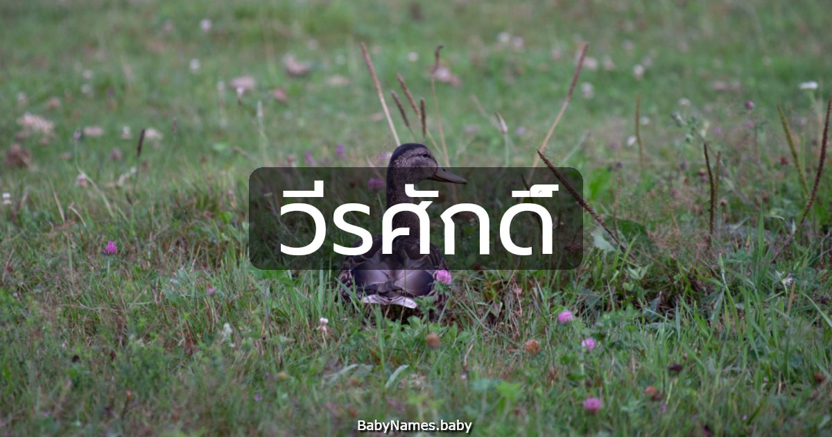 วีรศักดิ์