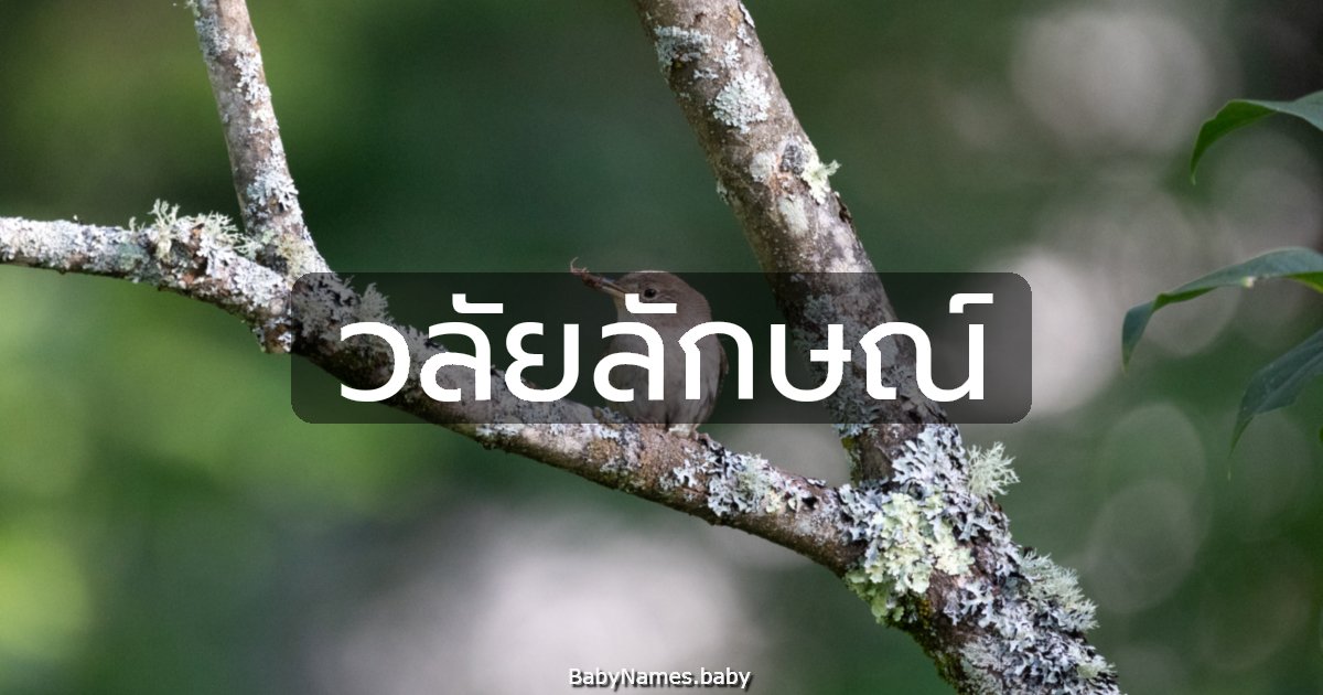 วลัยลักษณ์