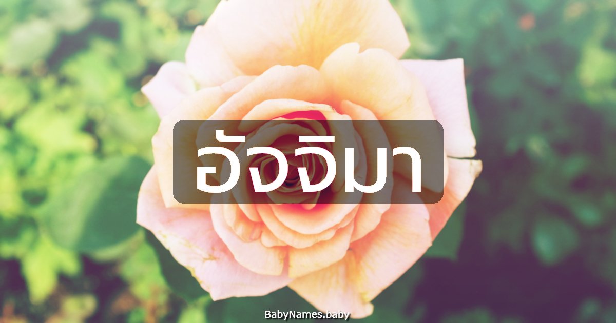 อัจจิมา