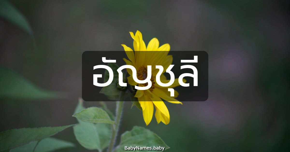 อัญชุลี