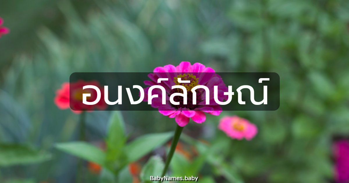 อนงค์ลักษณ์