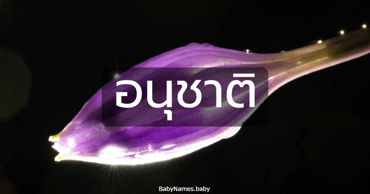 อนุชาติ