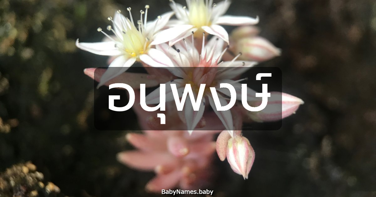 อนุพงษ์