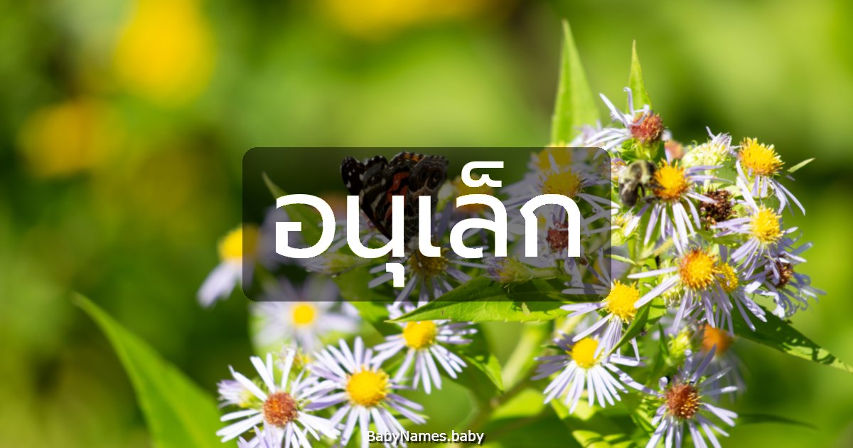 อนุเล็ก