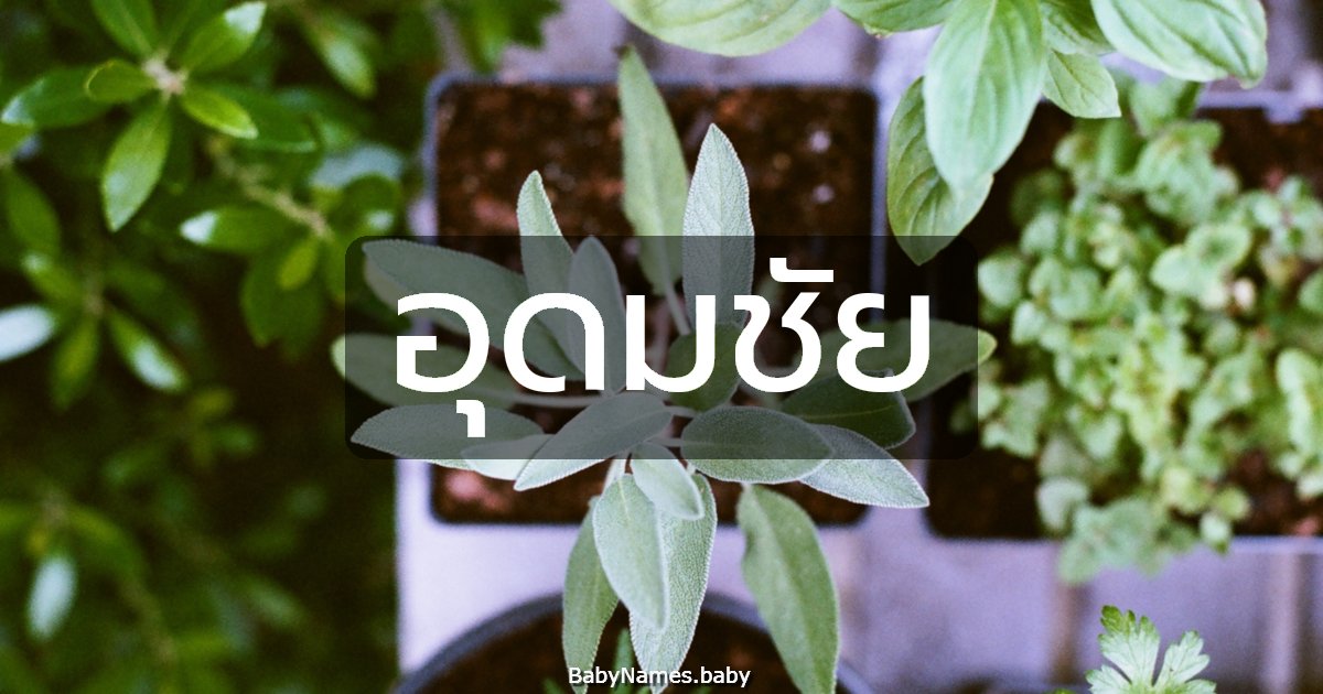 อุดมชัย