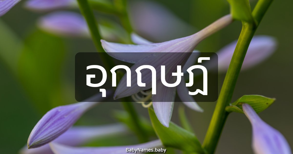 อุกฤษฏ์