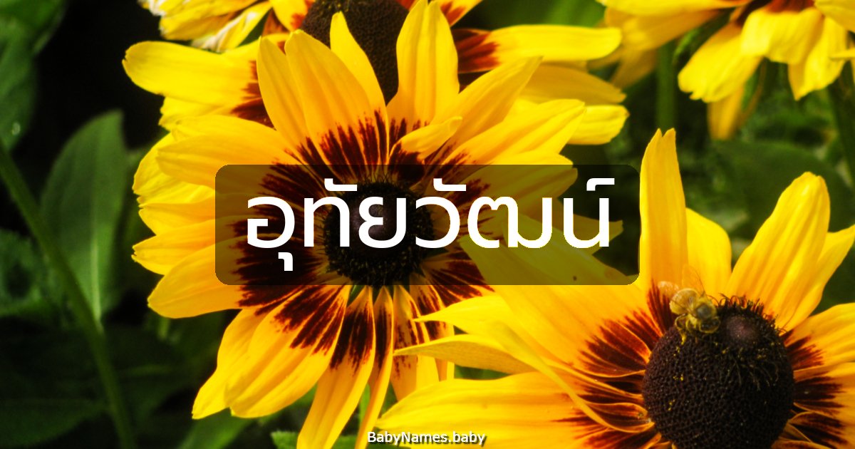 อุทัยวัฒน์