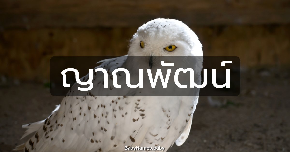 ญาณพัฒน์