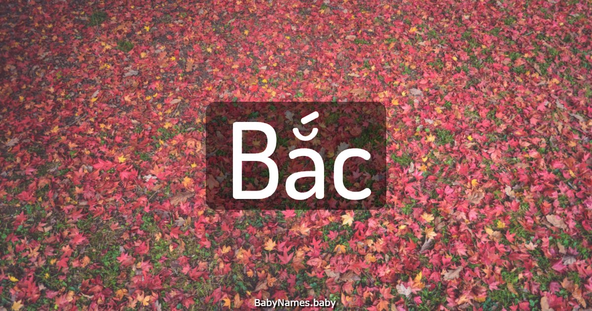 Bắc