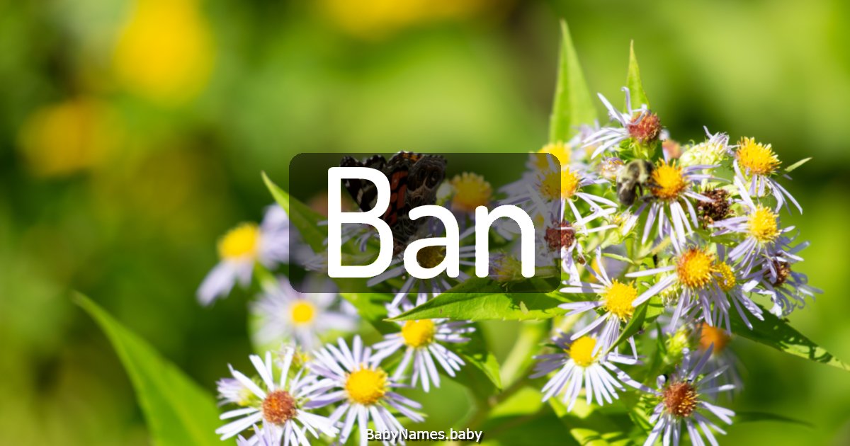 Ban