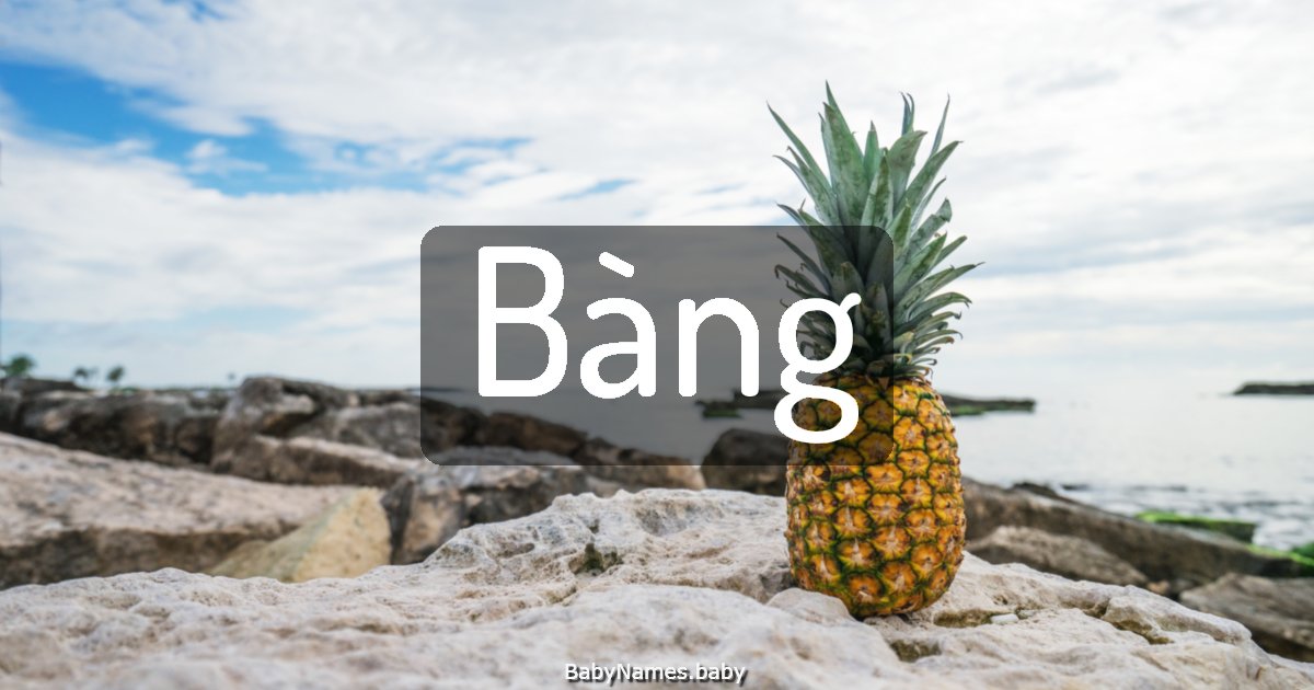 Bàng