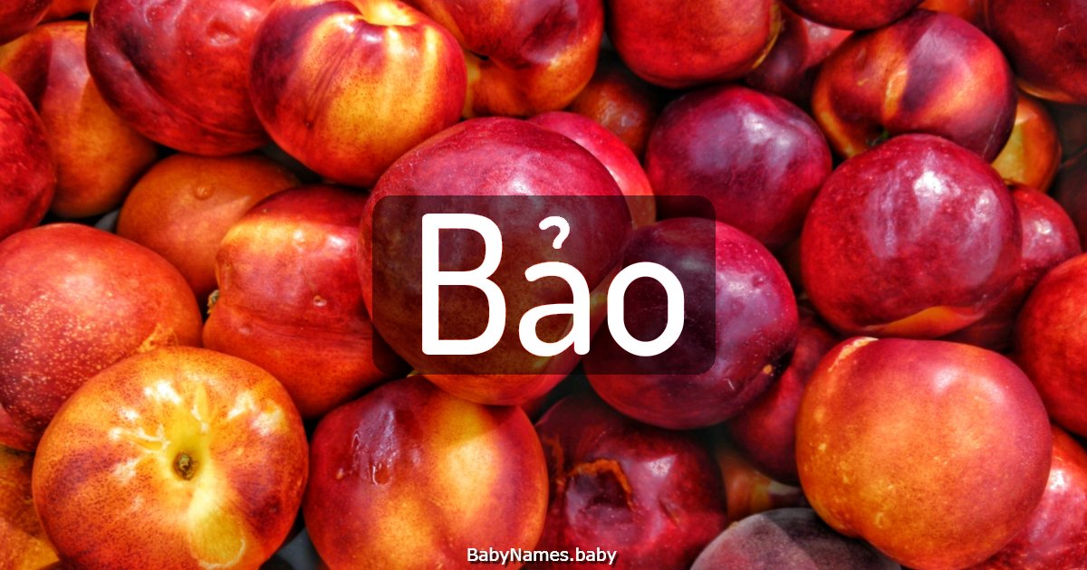 Bảo