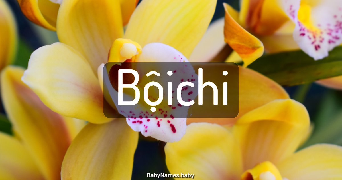 Bộichi